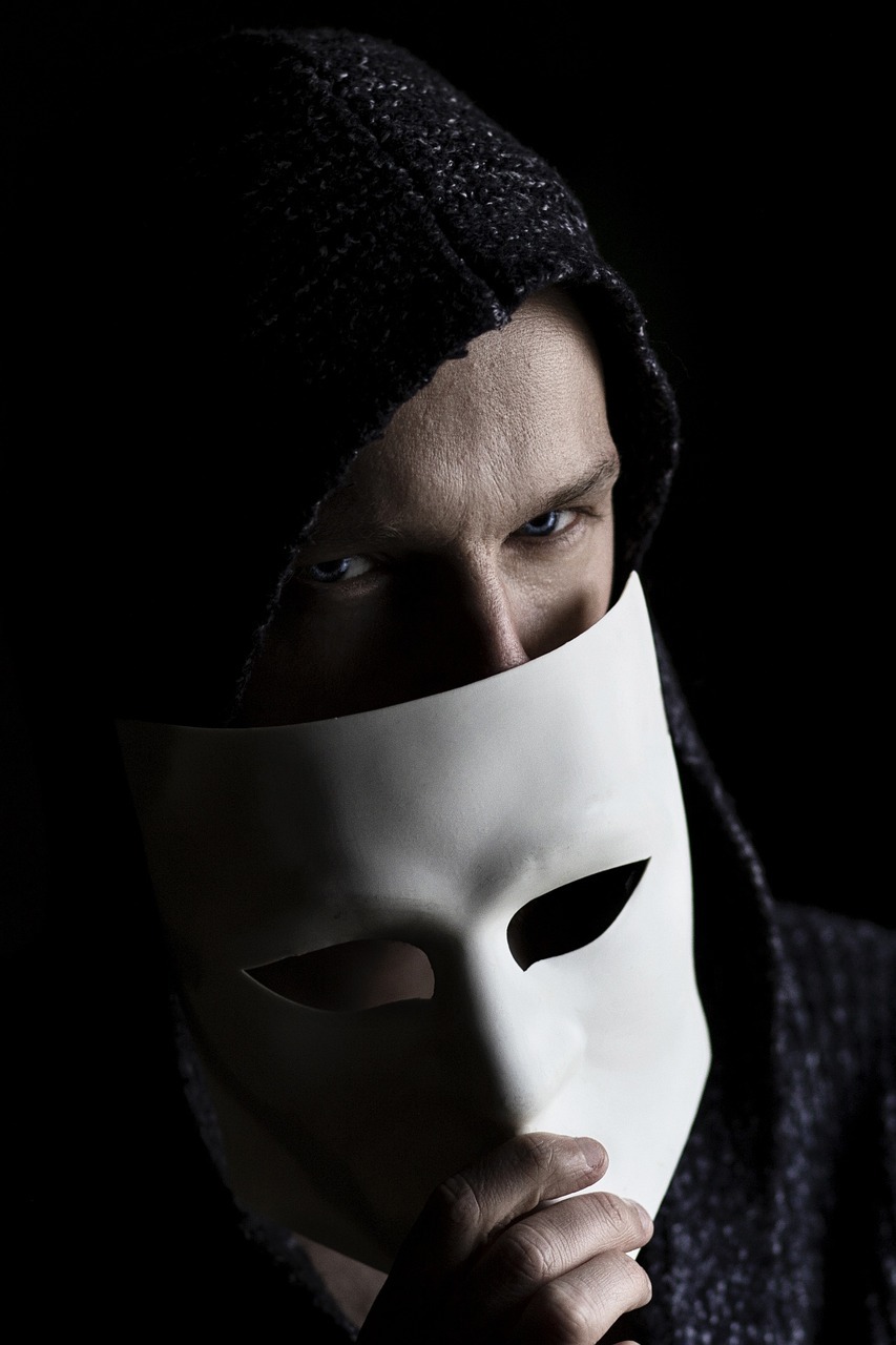 Sammy Sander pixabay Schizophren
