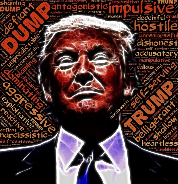 #24 Wie gefährlich ist Donald Trump? 8 USA Wahl