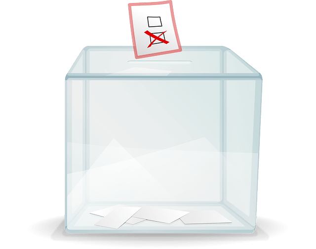 Wie man richtig wählt (NRW) 2 Wahlurne